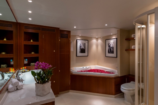 Motor Yacht Northern Sun for charter - master bathroom