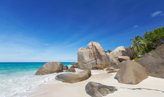 The Seychelles - beach.jpg