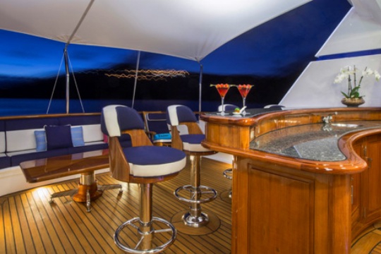 Motor Yacht Teleost - sundeck bar