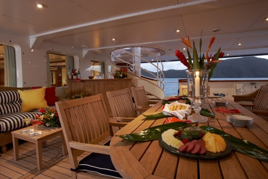 Motor Yacht Seawolf - main deck aft