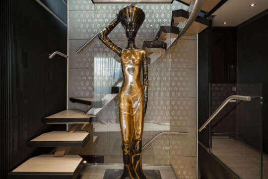 Diamond Binta Tankoa yacht for sale - Main deck foyer